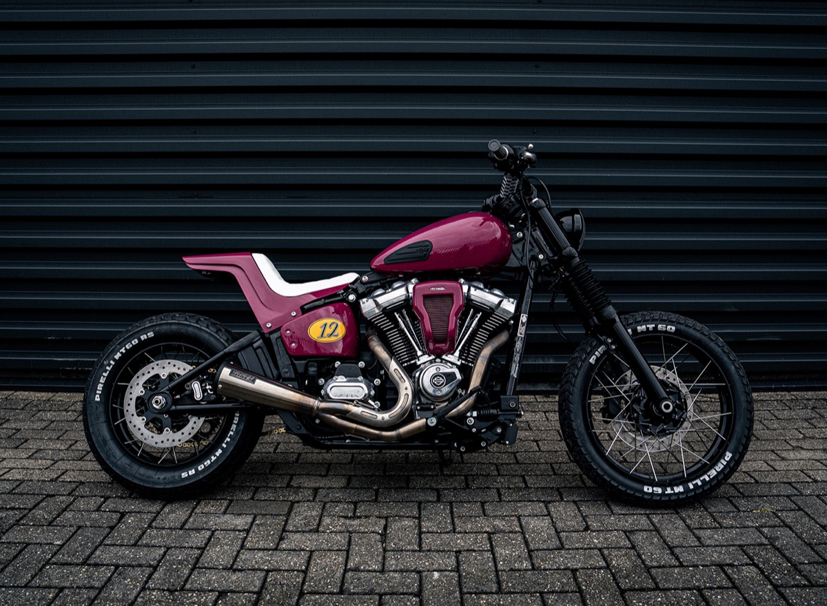Kavyro Ember Street Bob